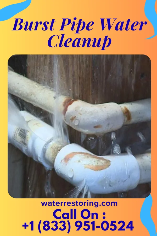 Burst Pipe Water Cleanup in Union City, OH