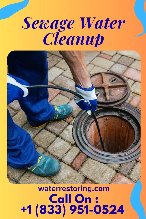 Sewage Water Cleanup in Union City, OH