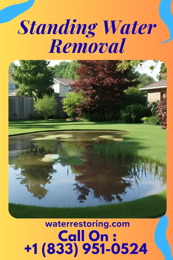 Standing Water Removal in Union City, OH